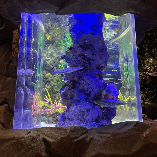 Rain forest Cafe レインフォレストカフェ