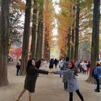 Autumn in Nami Island South Korea