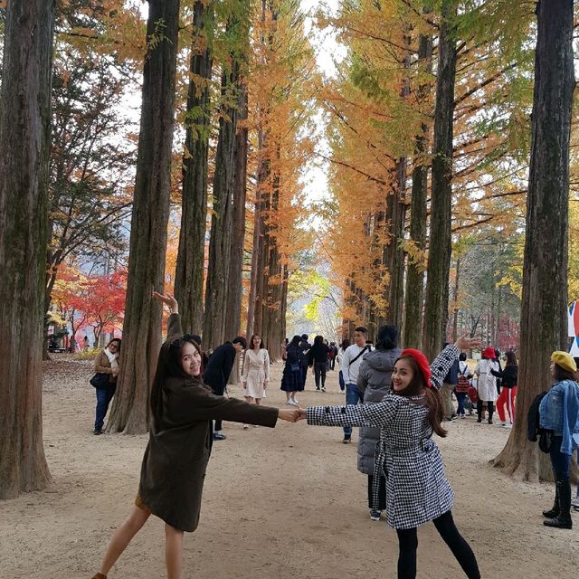 Autumn in Nami Island South Korea