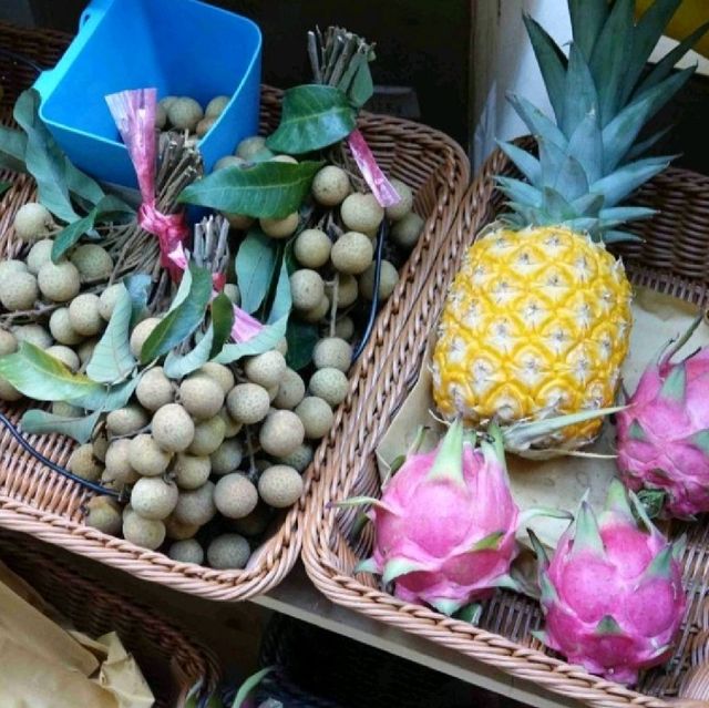 荃灣南豐紗廠《與種籽有約》活動
 荃灣南豐紗廠《與種籽有約》活動