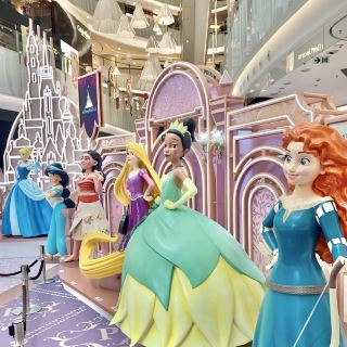 1:1 Disney Princess