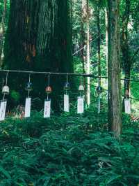 日光二荒山神社