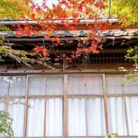 【紅葉巡り】湖東三山 百済寺