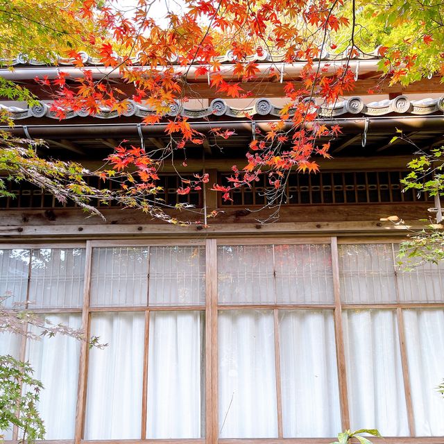 【紅葉巡り】湖東三山 百済寺