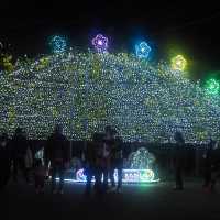 足利フラワーパーク　　　ばんどう太郎佐野店