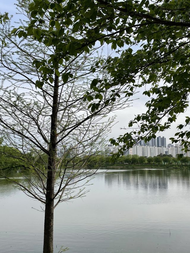 산책하기 좋은 수원 공원