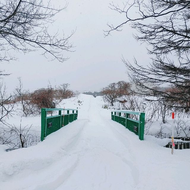 利尻島の冬