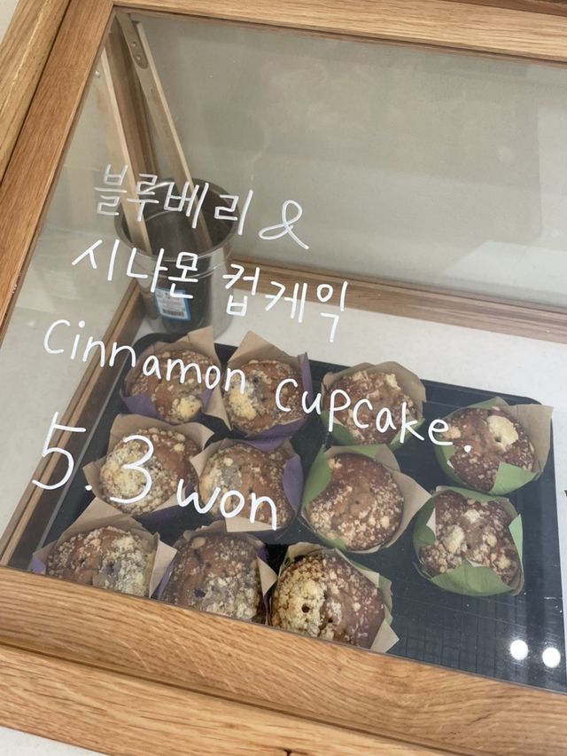 강릉 대형 신상카페 ☕️