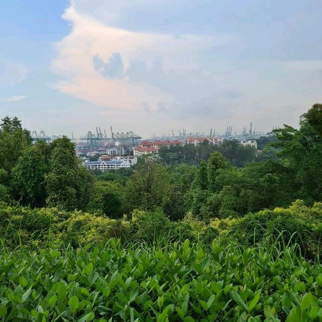 Battlefield turned Park on a Hill