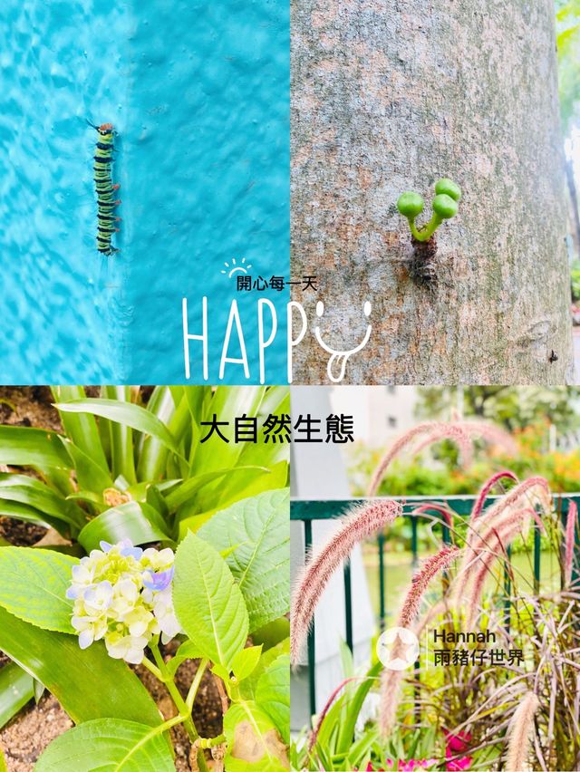 走進童話世界