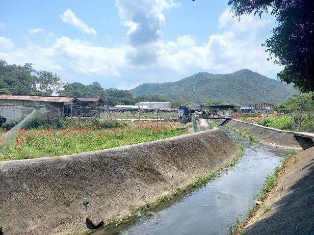 新田信芯園農莊