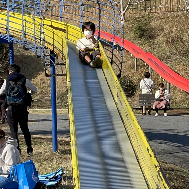 金沢動物園！大きな滑り台の公園もあるよ！