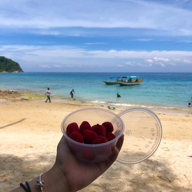 말레이시아의 보석같은 퍼런티안 섬에서의 3박 4일🛶