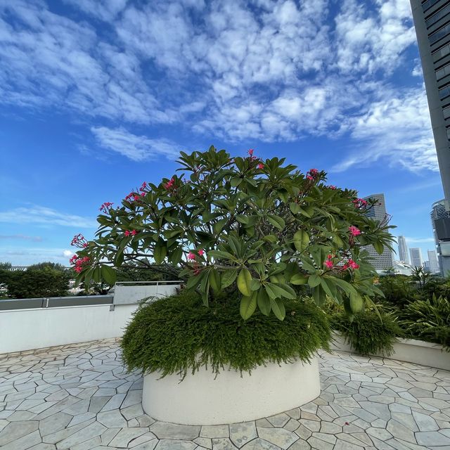 PRBR unblocked views at swimming pool