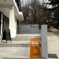 韓国/ソウル【陽川区】山の中のレストラン？🌳コーヒーから、ビールやワインも飲める自然いっぱい隠れ家🤎