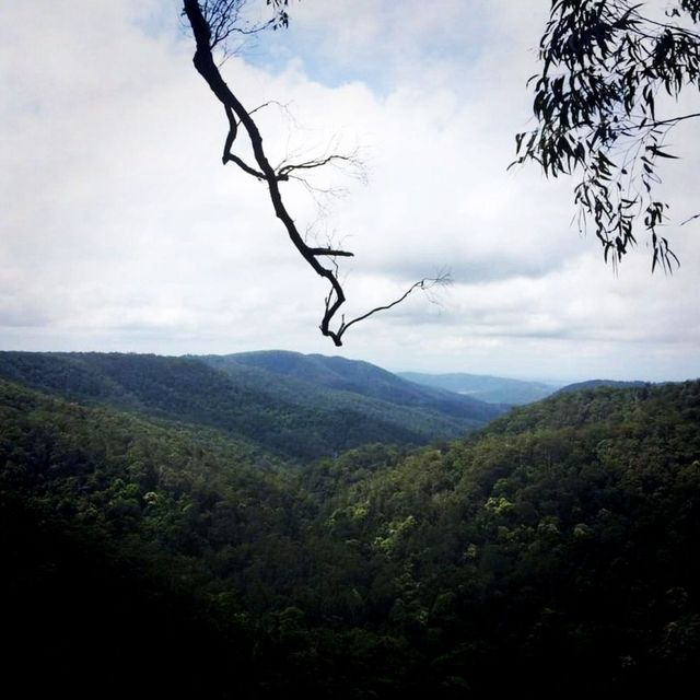 It's a Land Of Waterfall In Springbrook