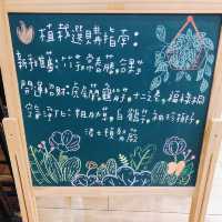 💐🪴發現美好UNIQLO Miramar Store UNIQLO 美麗華店🍀🌵
