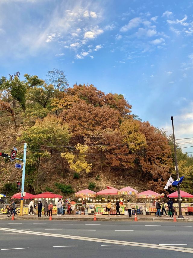 국내 단풍여행지 추천
