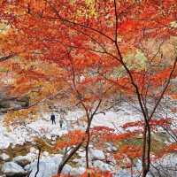 Colours of Baemsangol at Jirisan during Fall