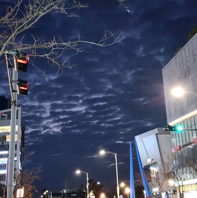 송도의 자랑 센트럴파크를 가보자