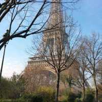 The Iconic Eiffel Tower Of Paris