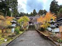 【和倉】映え映えな写真が撮れる「青林寺」
