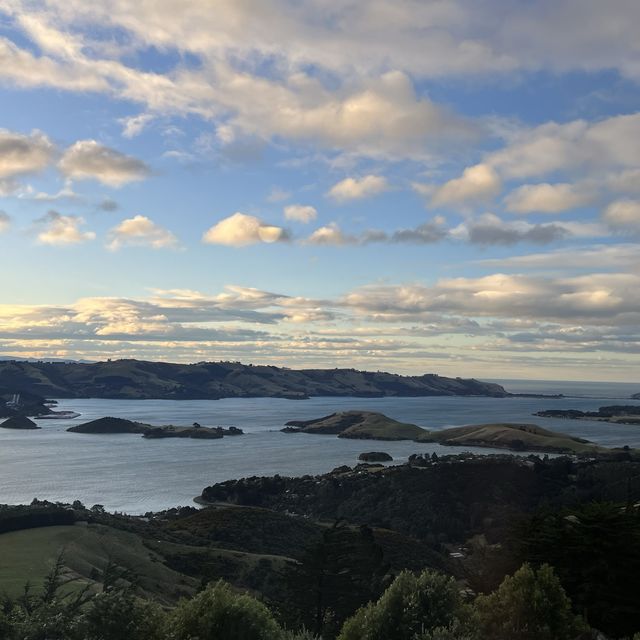 The only Castle in New Zealand 