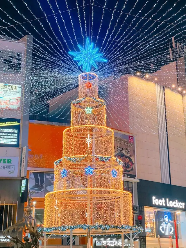 1월까지 만날 수 있는 대왕트리✨