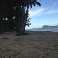 Palm Cove | Paradise  