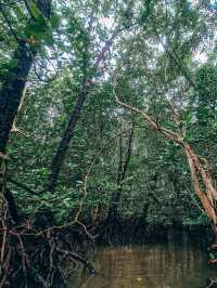 Bagan Lalang, Sepang