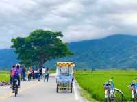 花蓮熱門旅遊景點｜伯朗大道，和我一起騎腳踏車兜風吧🤩