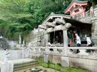 京都　1200年の歴史❗️世界遺産　清水寺