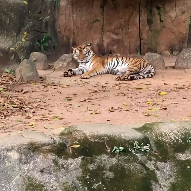 Zoo Melaka at Air Keroh Melaka