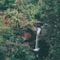 อุทยานแห่งชาติเขาใหญ่ 🌳