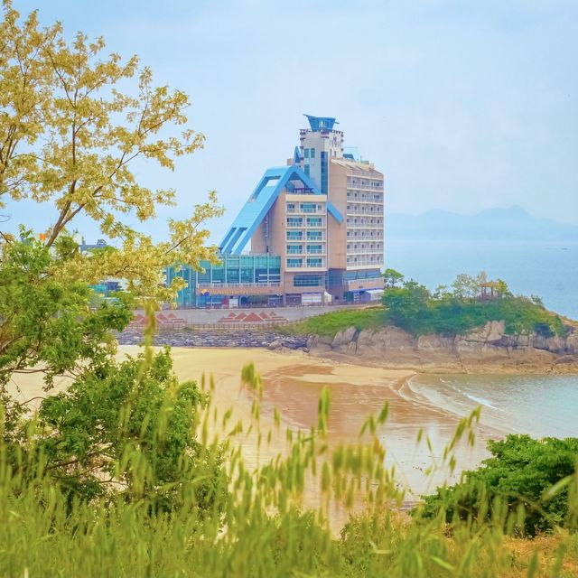 하루종일 탁 트인 바다를 보고싶다면 이 곳 ! 🌊