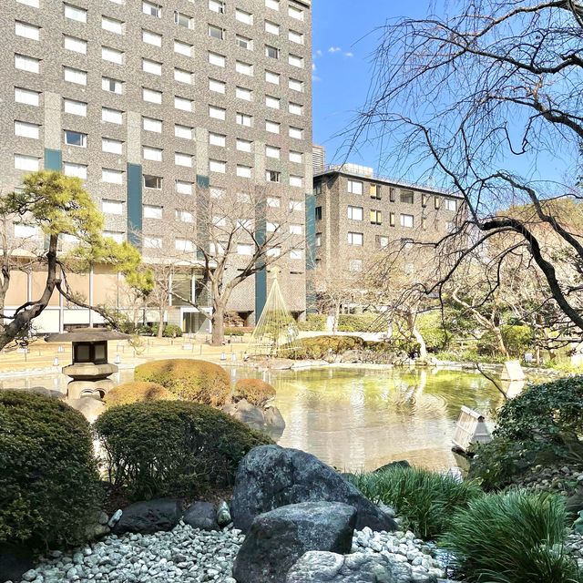 日本庭園の池