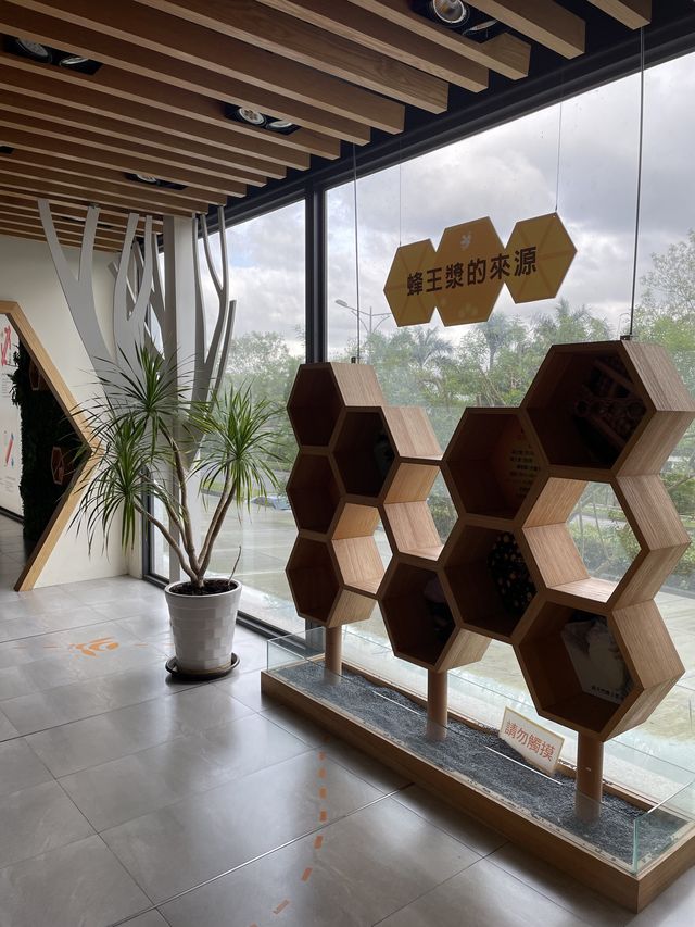 花蓮景點推薦｜蜜蜂生態教育館🐝