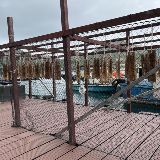 捉緊暑假尾巴的短途旅行 捉緊暑假尾巴的短途旅行