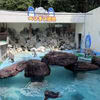 【高知】生きものとの距離感近すぎ！桂浜水族館