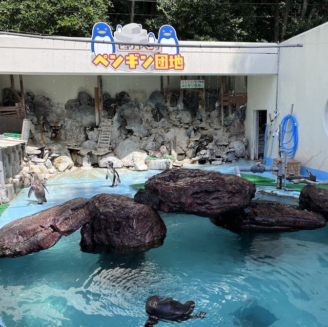 【高知】生きものとの距離感近すぎ！桂浜水族館