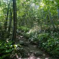 민주지산 등산