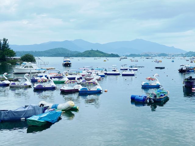 大美督水上單車
