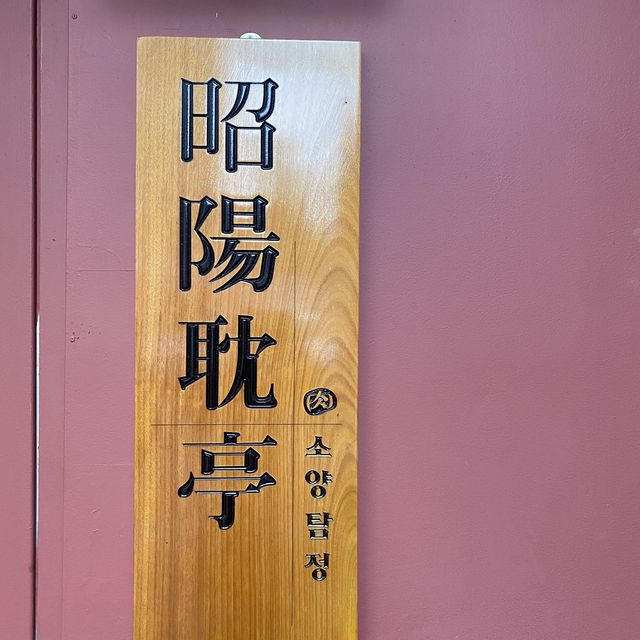 가로수길 소고기 오마카세 ❤️소양탐정💛
