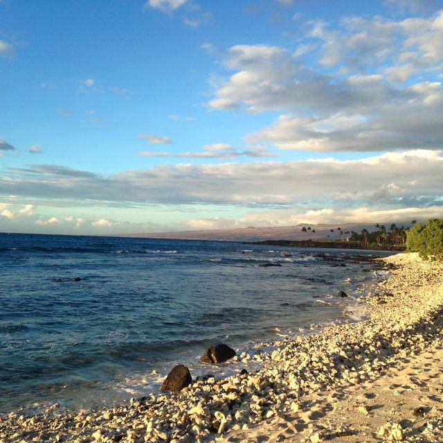 世界級的渡假村🏖️｜給你獨特的夏威夷體驗🌴