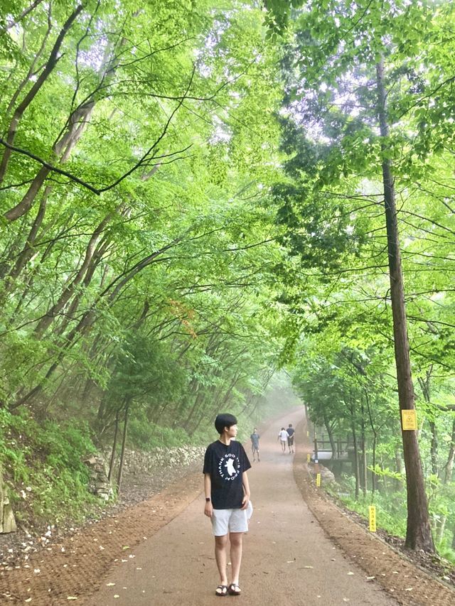 소원이 이루어지는 남해 보리암 🗿