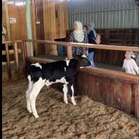 Desa Dairy Farm Sabah