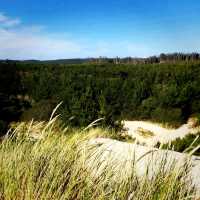 One of the Top 10 Beaches in Tasmania