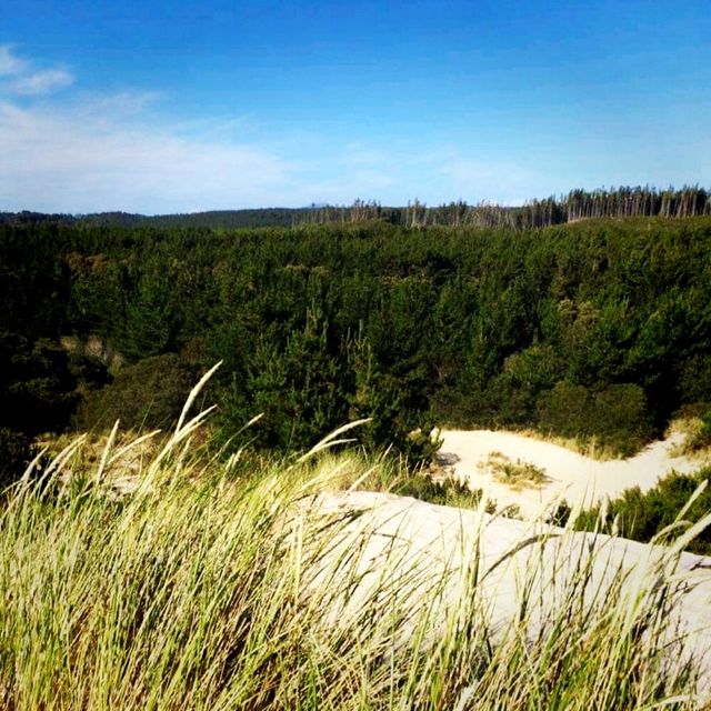 One of the Top 10 Beaches in Tasmania