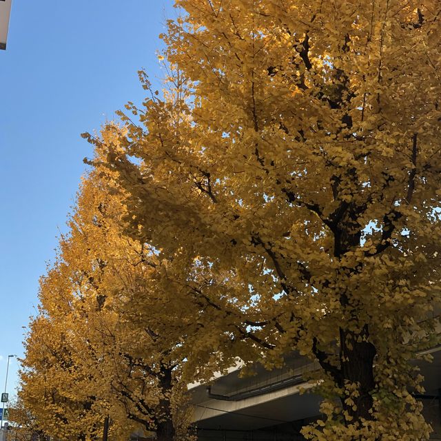 【東京】スターバックス リザーブ® ロースタリー 東京
