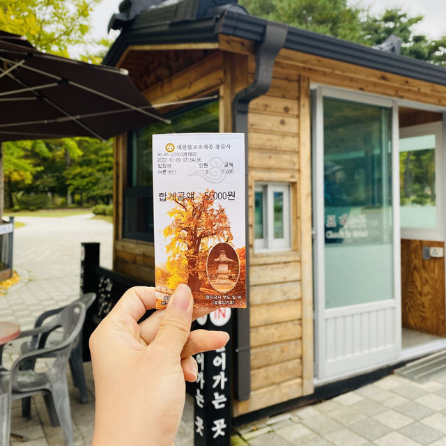 [용문] 가을 산행 단풍 구경🍁'용문산관광단지'